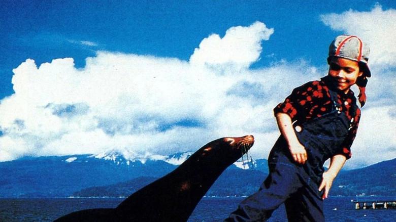 Andre, una foca en mi casa - Fondo