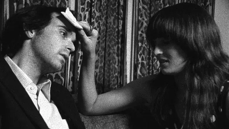 The Color Wheel - Fondo