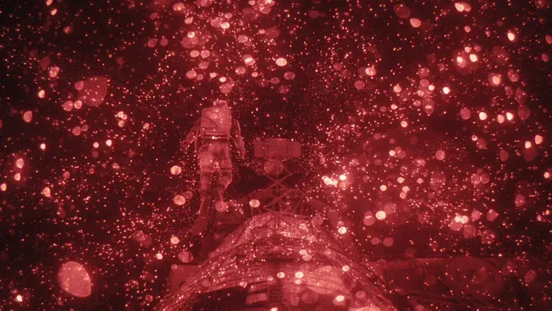 Proyecto salvación - Fondo