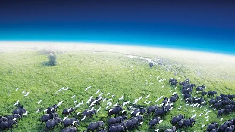 Planeta Tierra - Fondo