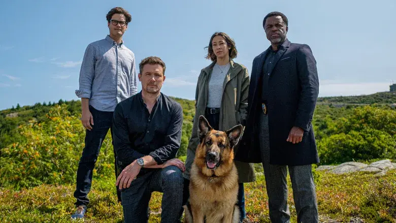 Hudson & Rex - Fondo