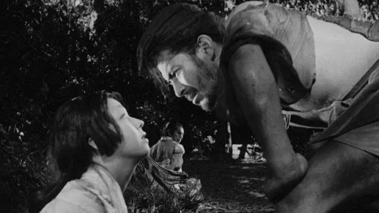 Rashomon - Fondo