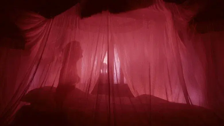 The Rocky Horror Picture Show - Fondo