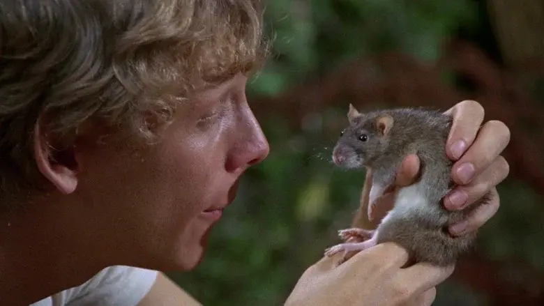 La revolución de las ratas - Fondo