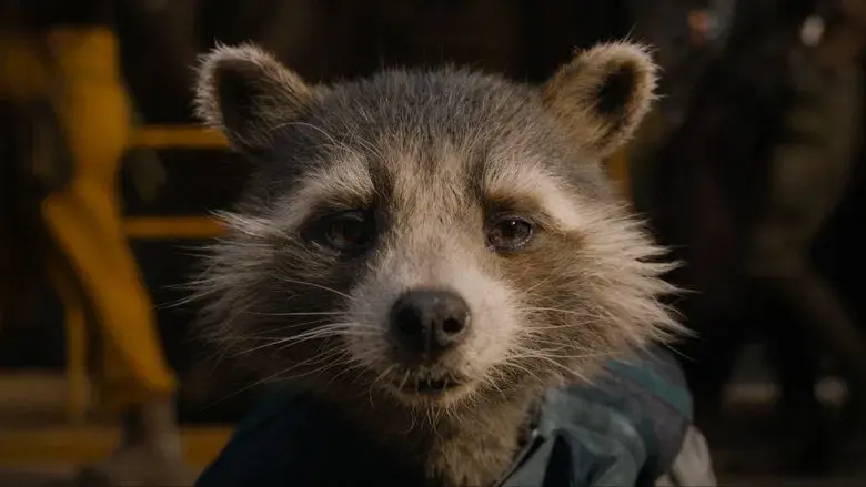 Guardianes de la Galaxia: Volumen 3 - Fondo