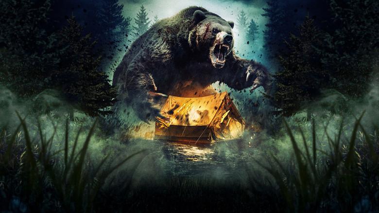 Grizzly Night - Fondo