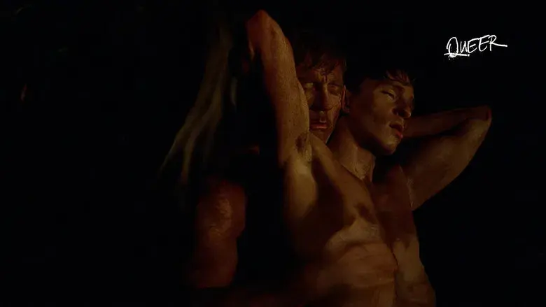 Queer - Fondo