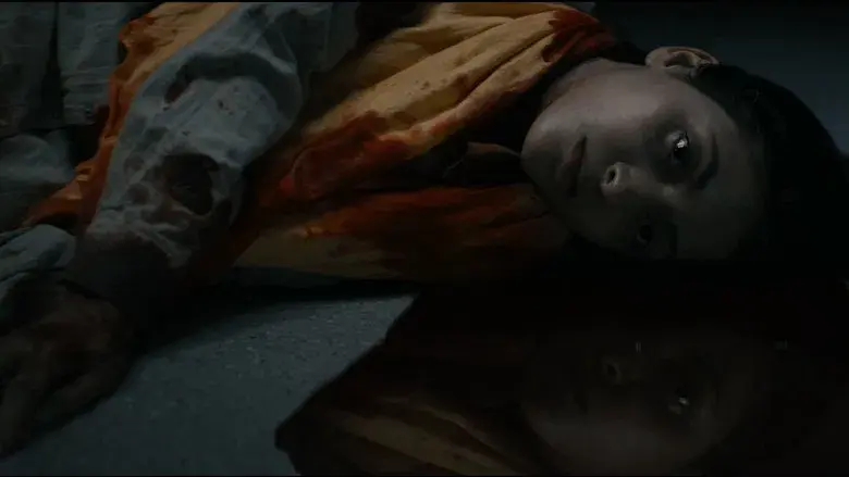 La momia de Lee Cronin - Fondo