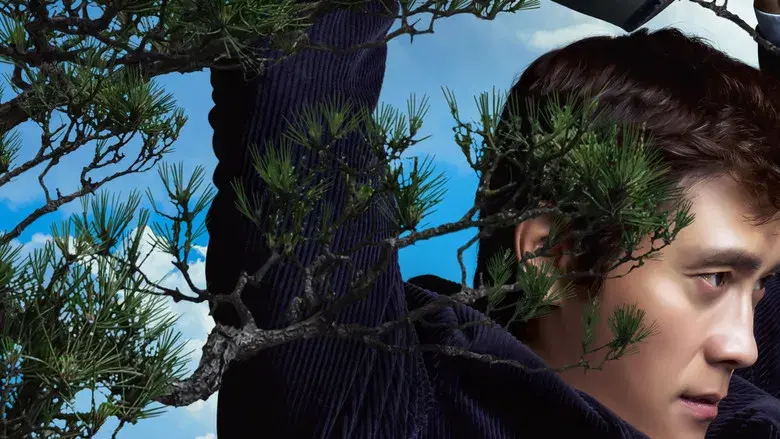 No hay otra opción - Fondo