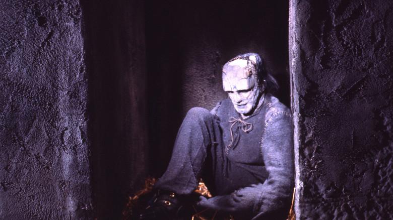 La maldad de Frankenstein - Fondo