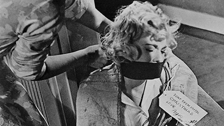 The Shakedown - Fondo