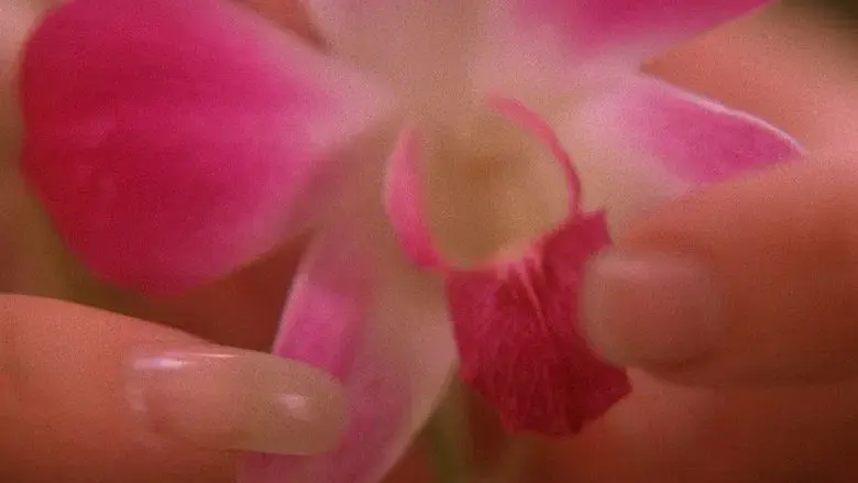 La maldición de Orchid