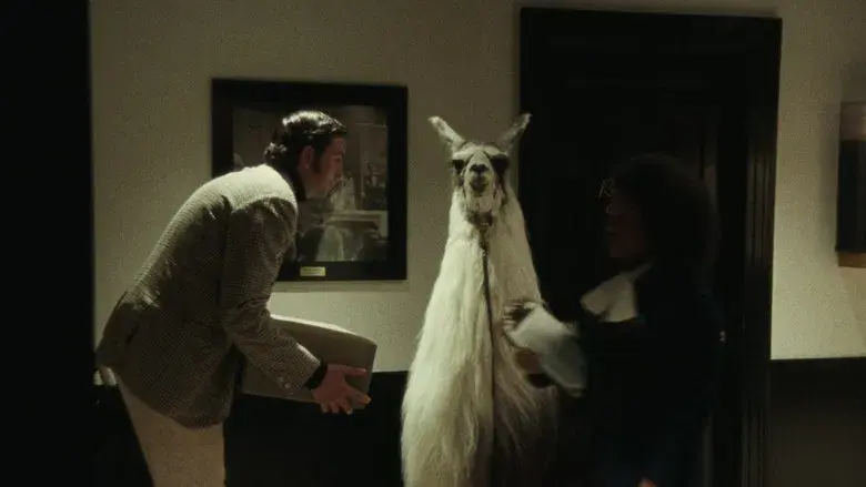 Saturday Night - Fondo