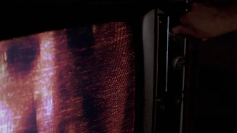 Están vivos - Fondo