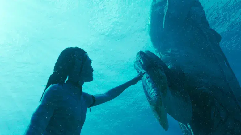 Avatar: El sentido del agua - Fondo