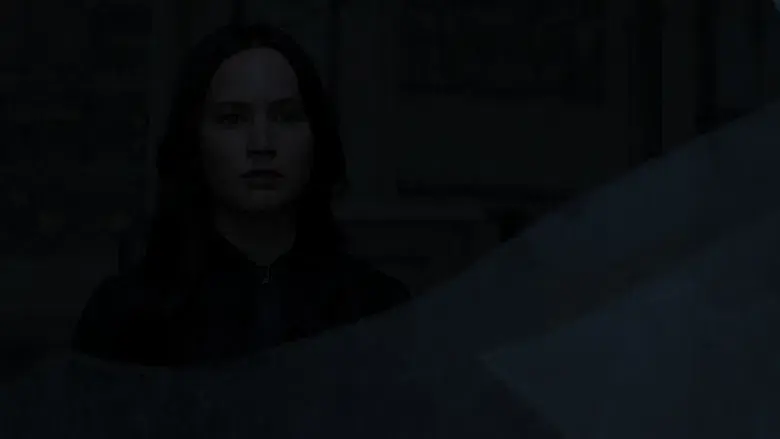 Los Juegos del Hambre: Sinsajo - Parte 2 - Fondo