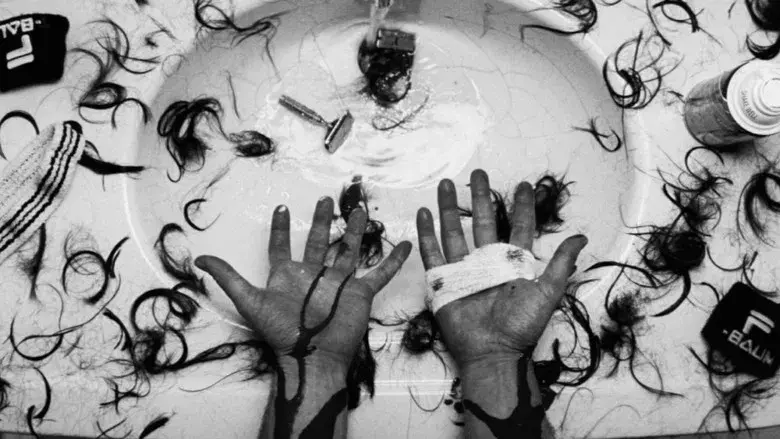 Los Tenenbaums. Una familia de genios - Fondo