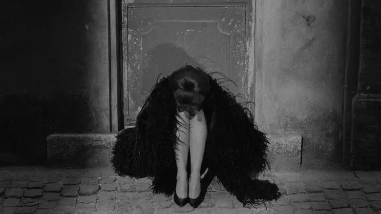 Fellini, ocho y medio - Fondo