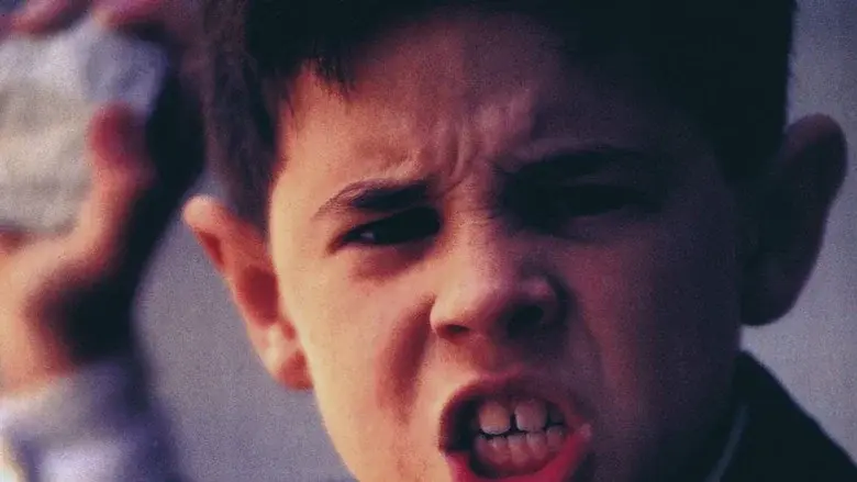 La lengua de las mariposas - Fondo