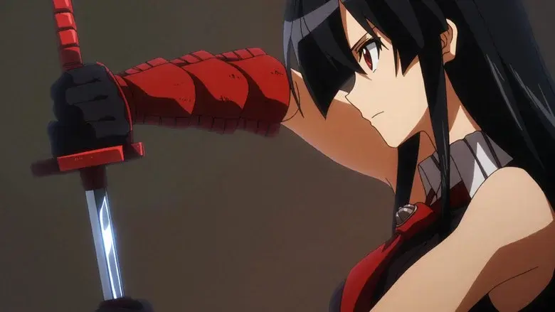 Akame ga Kill! - Fondo