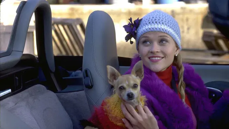 Una rubia muy legal - Fondo