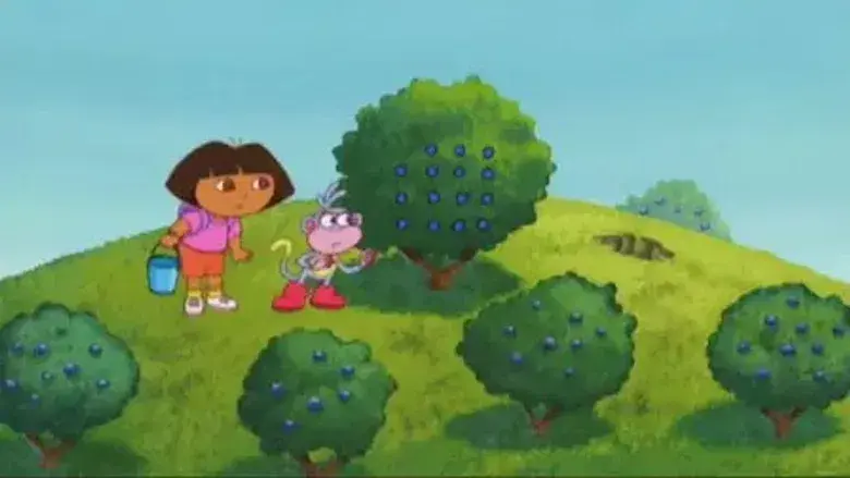 Vamos a buscar arándanos