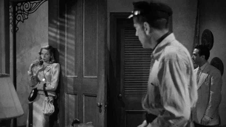 Tener y no tener - Fondo