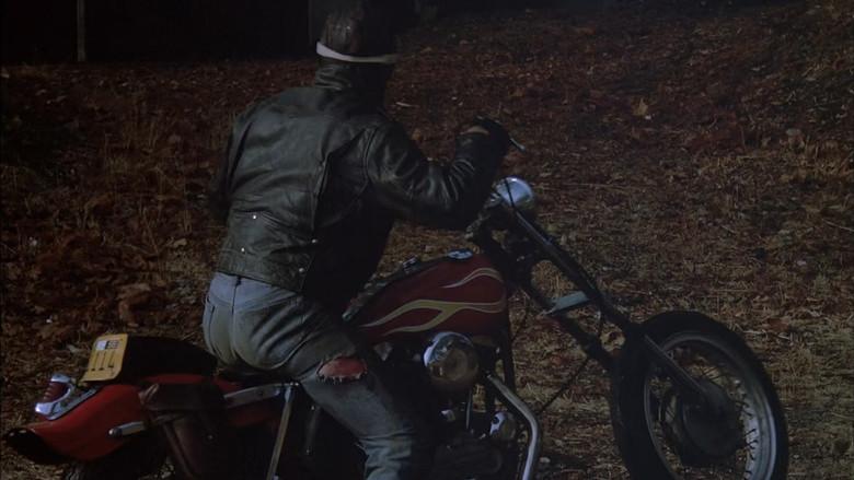 Rebelde sin tener idea