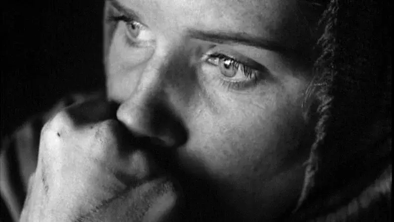 La vergüenza - Fondo