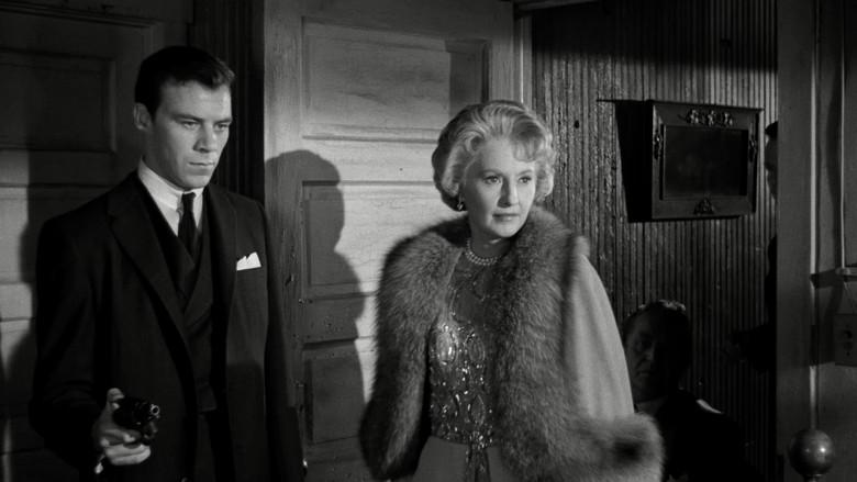 La gata negra - Fondo