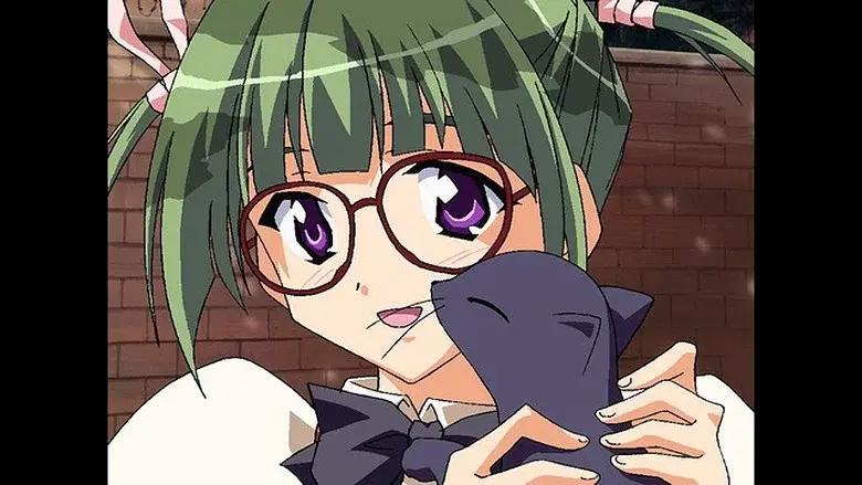 Episodio 8