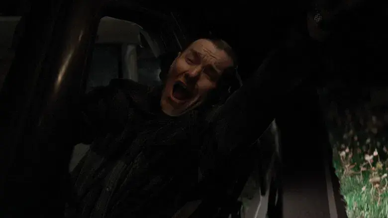 El maestro jardinero - Fondo