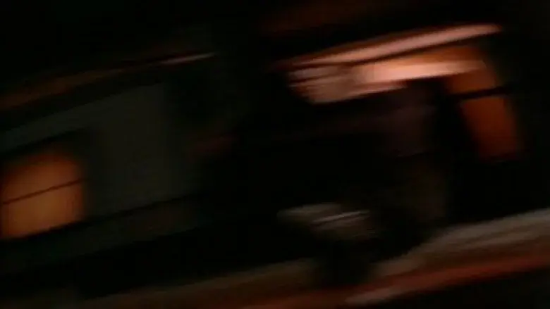 The Wife - Fondo