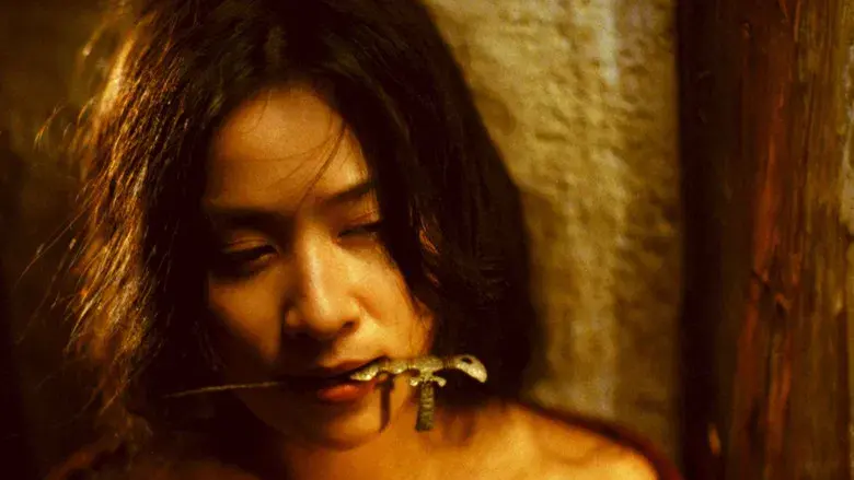 Ashes of Time - Backdrop