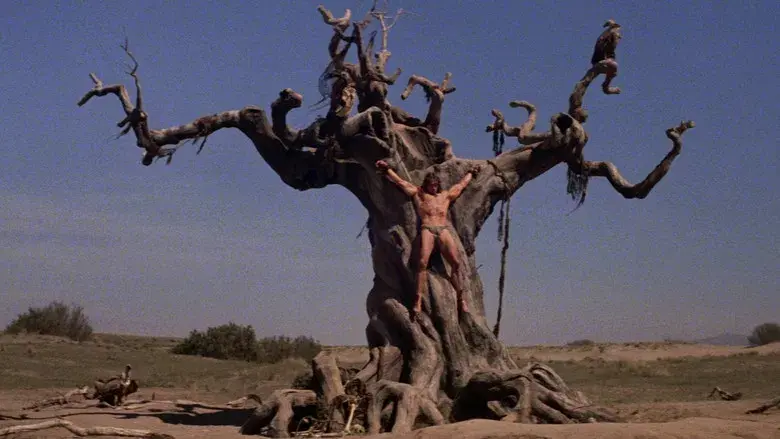 Conan, el bárbaro - Fondo