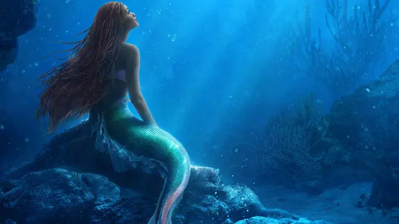 La sirenita - Fondo
