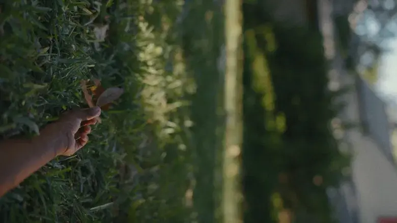 Los chicos de la Nickel - Fondo