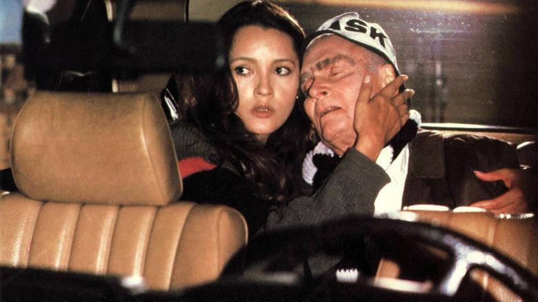 Patos Salvajes 2 - Fondo