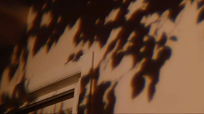 Bo Burnham: Inside - Fondo