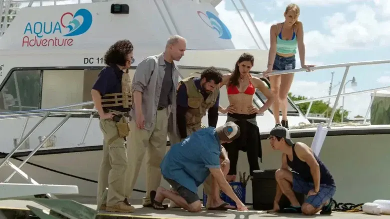 El ataque del tiburón de cinco cabezas - Fondo