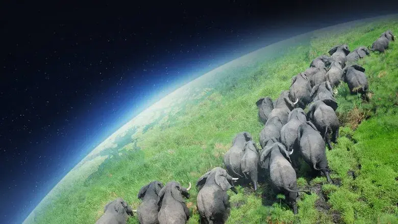 Planeta Tierra - Fondo