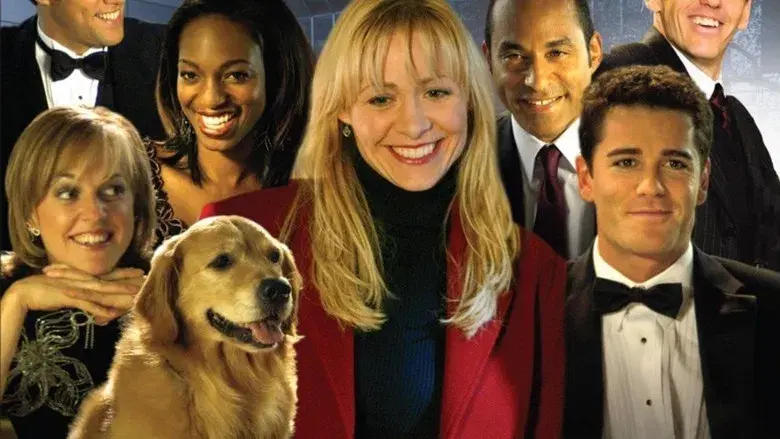 Sue Thomas: F.B.Eye - Backdrop