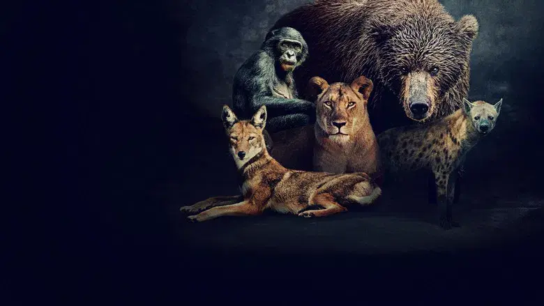 Reinas del mundo salvaje - Fondo