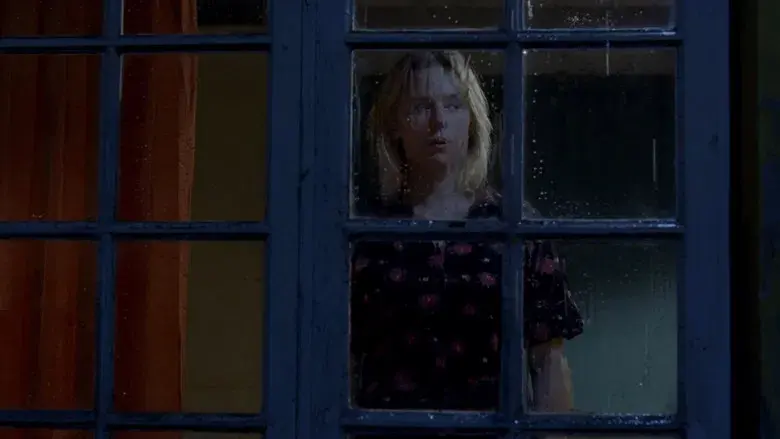 Fallen Leaves - Fondo