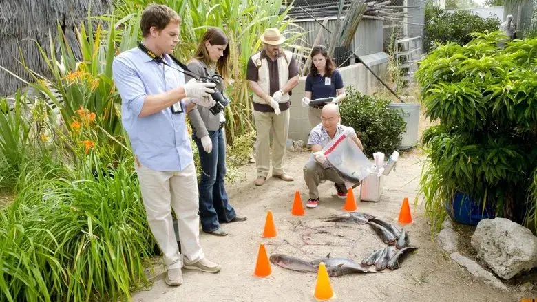 Un caballo de un color diferente