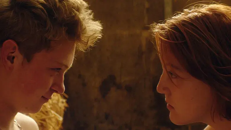 La receta perfecta - Fondo