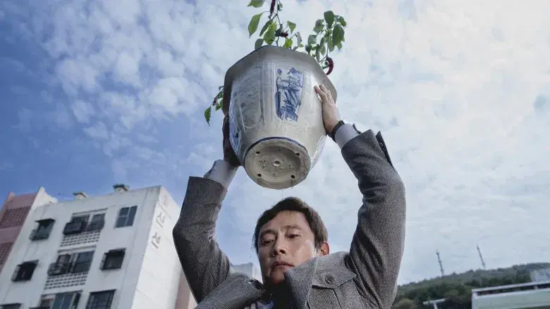 No hay otra opción - Fondo