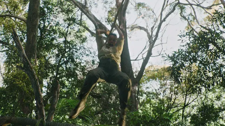 SEND HELP (Enviad ayuda) - Fondo