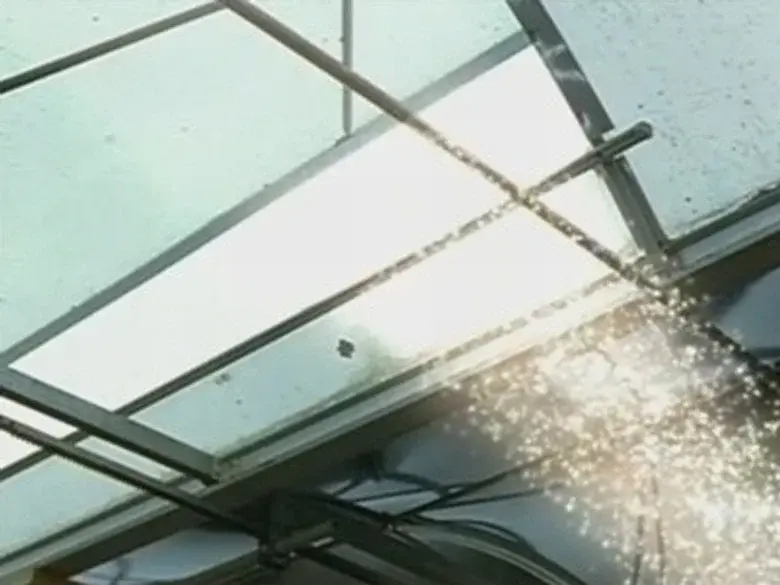 Ningún lugar en el que crecer