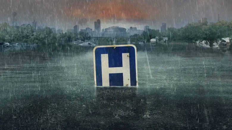 Después del huracán - Fondo